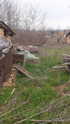 ����� ������� ������,�. ����������, ������ ������ �������