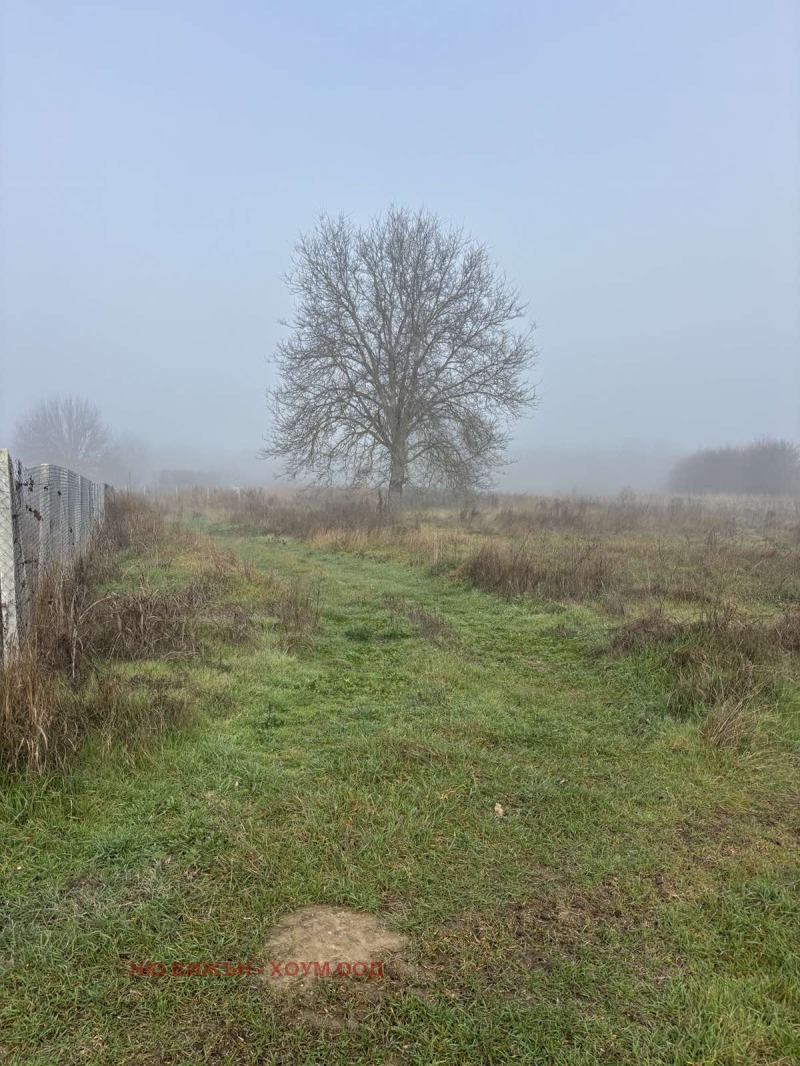 Продава ЗЕМЕДЕЛСКА ЗЕМЯ, с. Ябълково, област Кюстендил, снимка 3 - Земеделска земя - 52823220