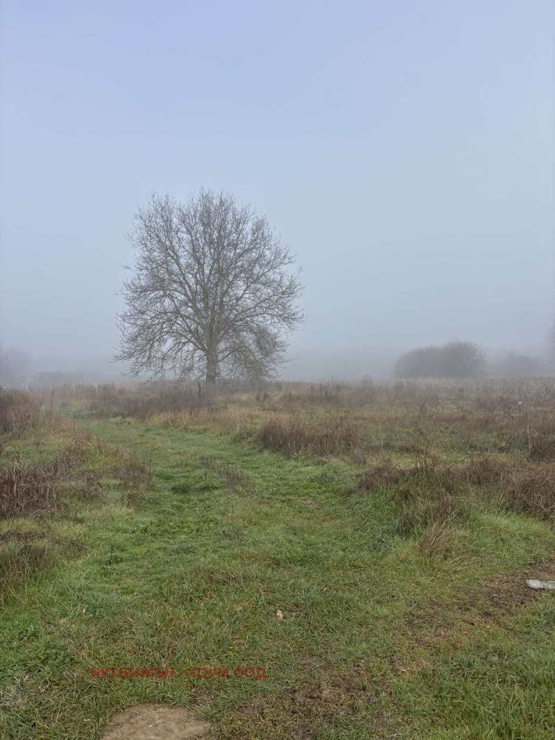 Продава ЗЕМЕДЕЛСКА ЗЕМЯ, с. Ябълково, област Кюстендил, снимка 2 - Земеделска земя - 52823220