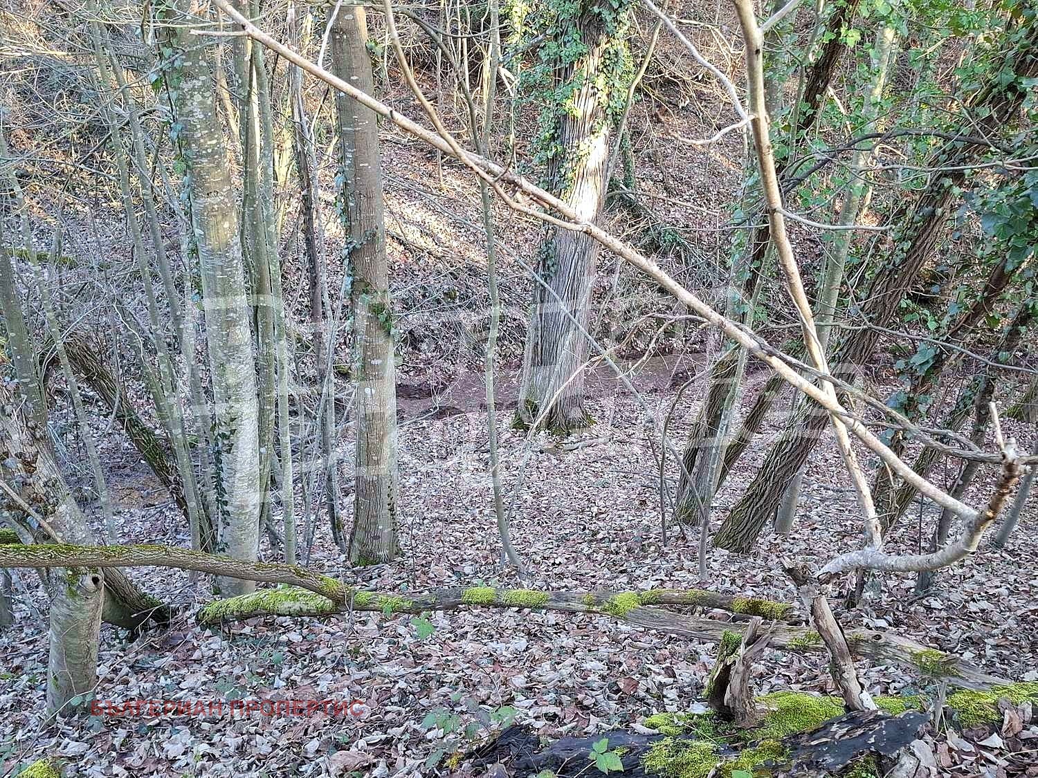 Продава КЪЩА | Imot.bg — изображение 5