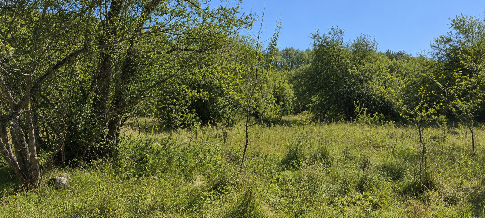 ������� ������ | Imot.bg � ����������� 5
