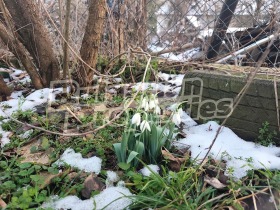 ������� ���� | Imot.bg � ����� ������ 5