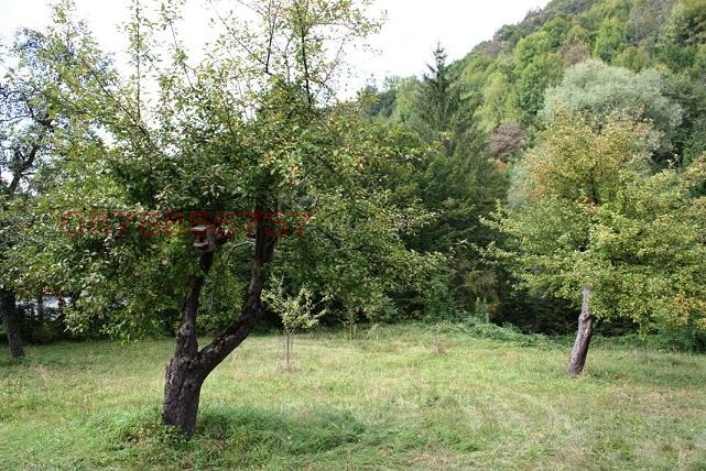 Продава КЪЩА, с. Рибарица, област Ловеч, снимка 13 - Къщи - 53266262