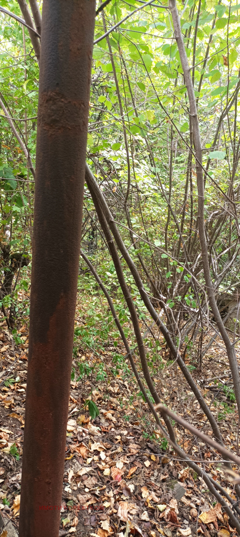 In vendita  Complotto Sofia , Pancharevo , 440 mq | 55265616 - Immagine [5]