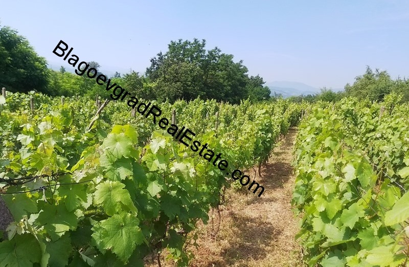 À vendre  Atterrir région Blagoevgrad , Blagoevgrad , 0.4 dka | 36974284 - image [2]