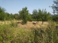 Продава  Парцел град Перник , Бела вода , 708 кв.м | 82008465 - изображение [2]