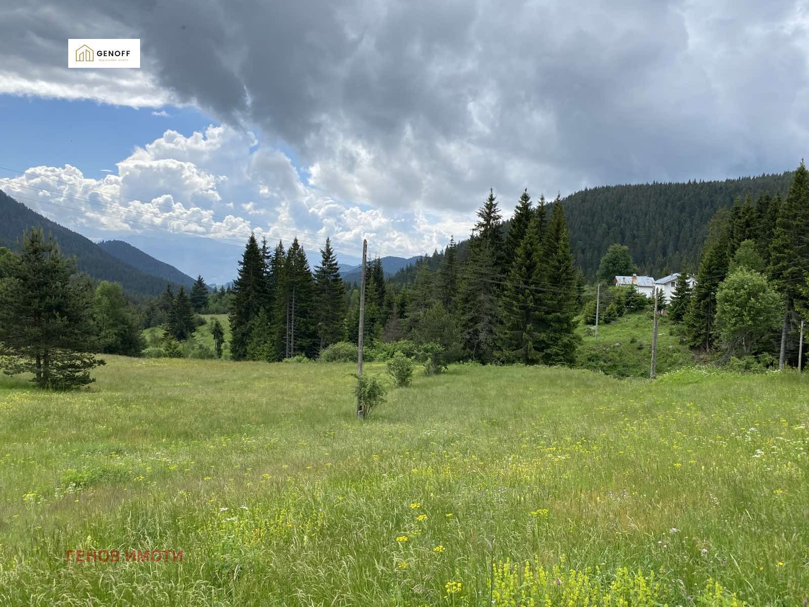 Продава ПАРЦЕЛ, гр. Батак, област Пазарджик, снимка 3 - Парцели - 55349367