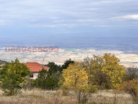 ������ ������� ������