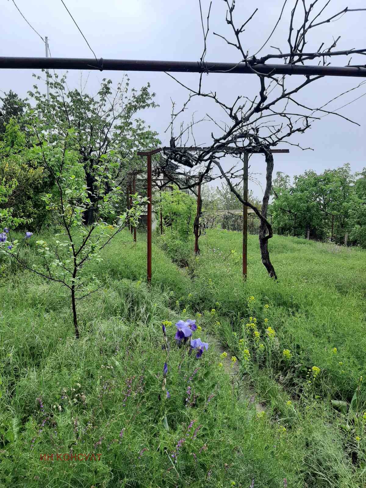 Продава КЪЩА | Imot.bg — изображение 4