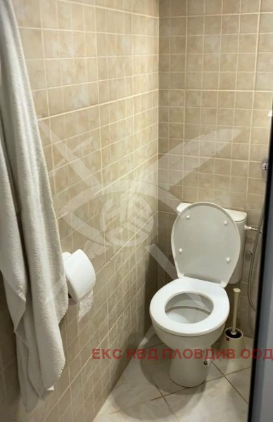 Продава КЪЩА, с. Болярино, област Пловдив, снимка 6 - Къщи - 54273064