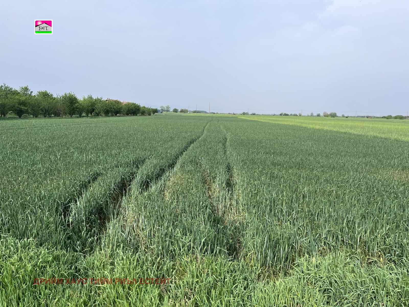 Продава ЗЕМЕДЕЛСКА ЗЕМЯ | Imot.bg — изображение 2