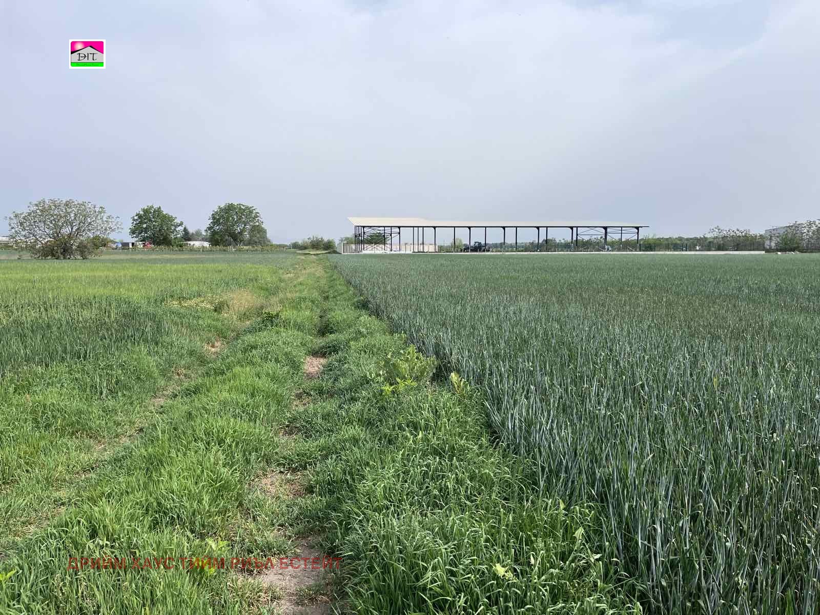 Продава ЗЕМЕДЕЛСКА ЗЕМЯ | Imot.bg — изображение 6