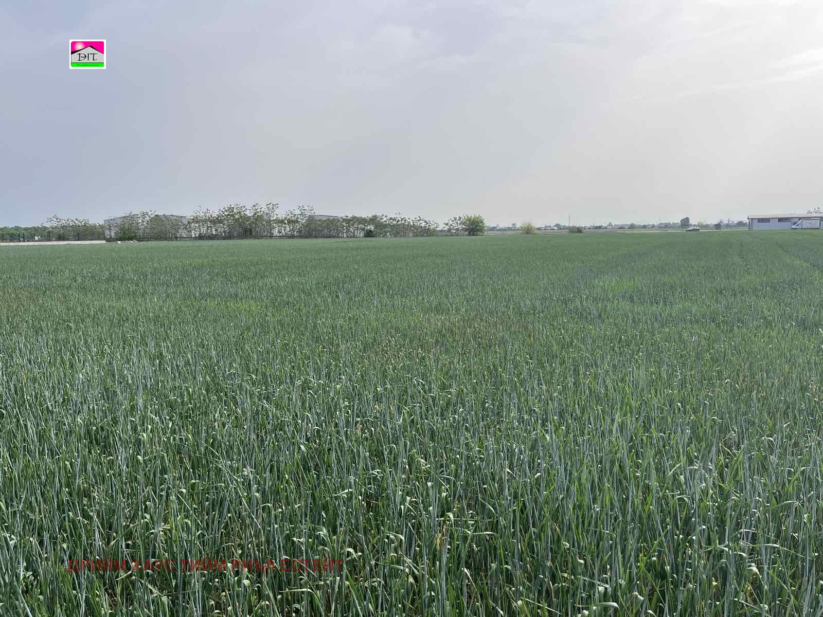 Продава ЗЕМЕДЕЛСКА ЗЕМЯ | Imot.bg — изображение 1