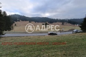 ����� ������� ���������� ����,�. ���������, ������ ������