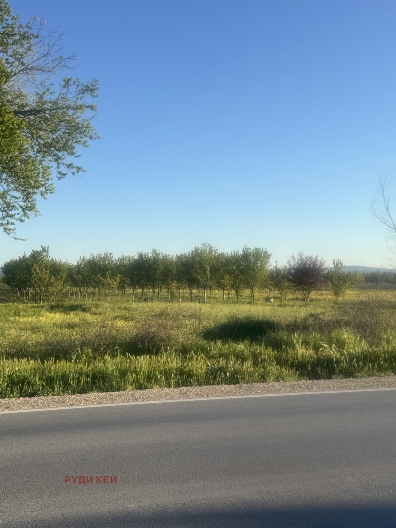 Na prodej  Spiknutí Varna , Topoli , 1500 m2 | 65197718