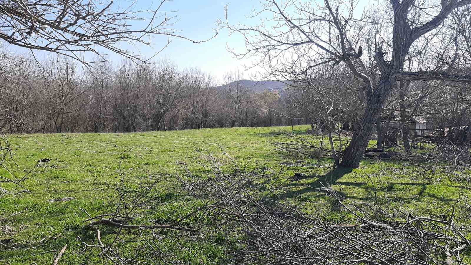 Продава ПАРЦЕЛ, с. Горен чифлик, област Варна, снимка 2 - Парцели - 45332398
