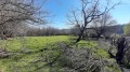 Продава ПАРЦЕЛ, с. Горен чифлик, област Варна, снимка 2