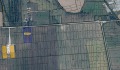 Продава ЗЕМЕДЕЛСКА ЗЕМЯ, гр. Игнатиево, област Варна, снимка 2