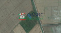 Продава  Парцел област Бургас , с. Тънково , 999 кв.м | 85631365 - изображение [2]