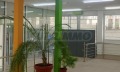 Дава под наем МАГАЗИН, гр. София, Център, снимка 3