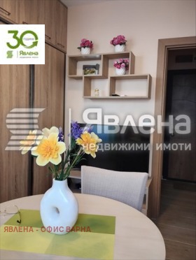 Studio Zimno kino Trakija, Varna 9