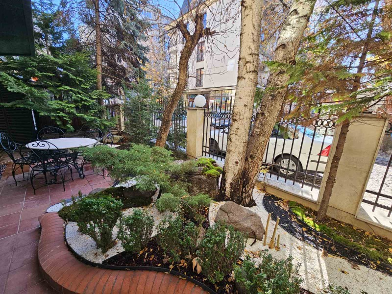 Дава под наем ЗАВЕДЕНИЕ, гр. София, Павлово, снимка 12 - Заведения - 52145730