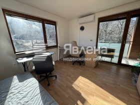 ����� ���� ��� ���� 3-�����,���� �����, ����������