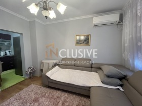 Studio Grand Mol, Warna