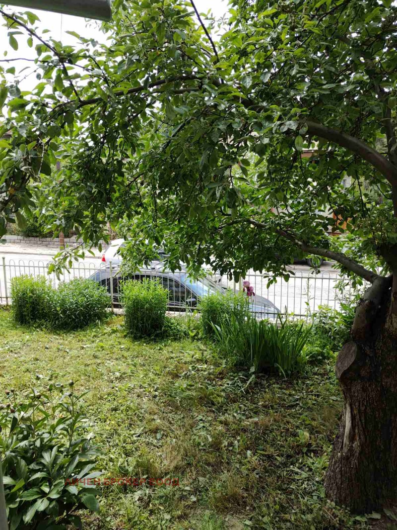 För uthyrning  Hus Golv Sofia , Vladaja , 80 kvm | 69120762 - bild [15]