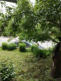 Под наем ЕТАЖ ОТ КЪЩА, град София, с. Владая • 550 € / 1075.71 лв. • 73793765 15