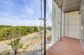 ����� ���� ��� ���� 3-�����,���� �����, �������