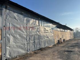 ����� ���� ��� ���� ����. ���������,���� ������, ������