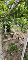 Под наем 2-СТАЕН, град Плевен, Идеален център • 850 лв. / 434.60 € • 90824753 2