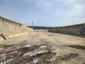 ������ ���� ��� ���� �����