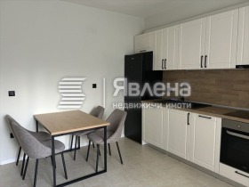 ����� ���� ��� ���� ����������,���� �����������, ������� ������