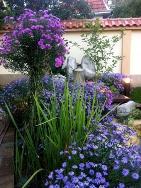 ���� ��� ���� ���� | Imot.bg � ����� ������ 11