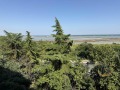 Дава под наем  2-стаен град Бургас , Зорница , 70 кв.м | 42154439 - изображение [9]