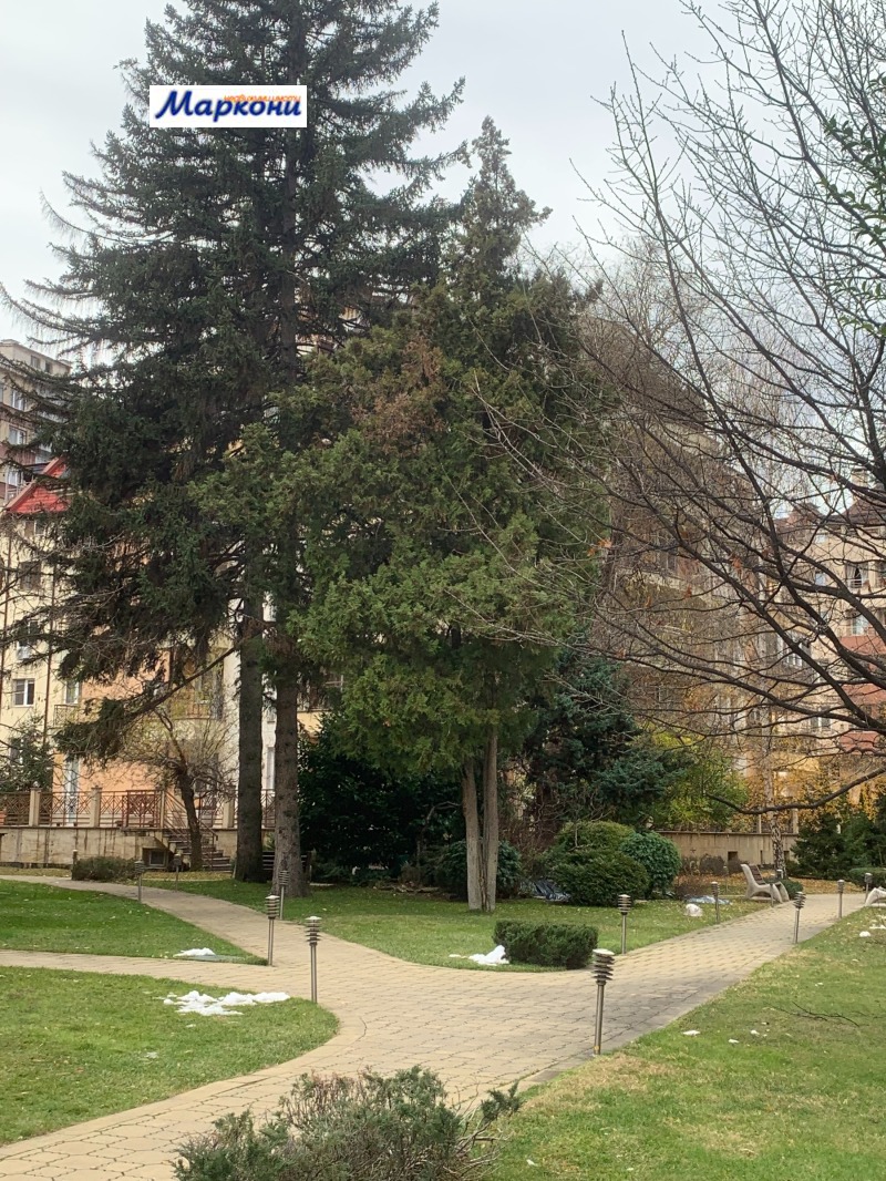 Дава под наем ОФИС, гр. София, Борово, снимка 5 - Офиси - 53071651