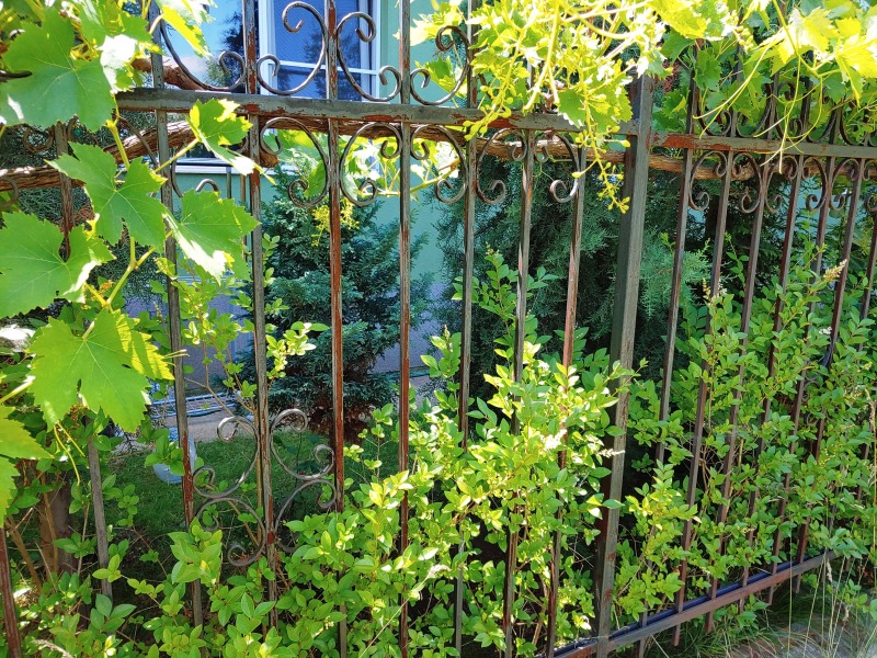 В оренду  2 спальні София , Овча купел , 75 кв.м | 23057616 - зображення [16]