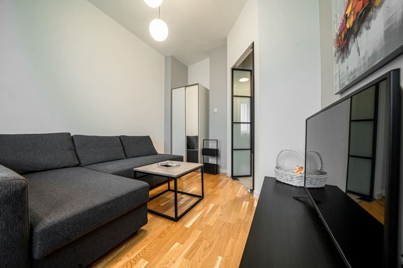 Дава под наем 2-СТАЕН, гр. София, Център, снимка 5 - Апартаменти - 52379197