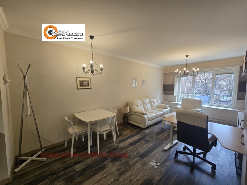 Дава под наем 2-СТАЕН, гр. София, Център, снимка 3 - Апартаменти - 53102106