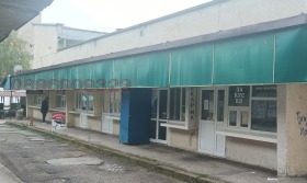 ������ ���� ��� ���� �������