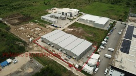 ����� ���� ��� ���� �����,���� �������, ������������ ���� - ��