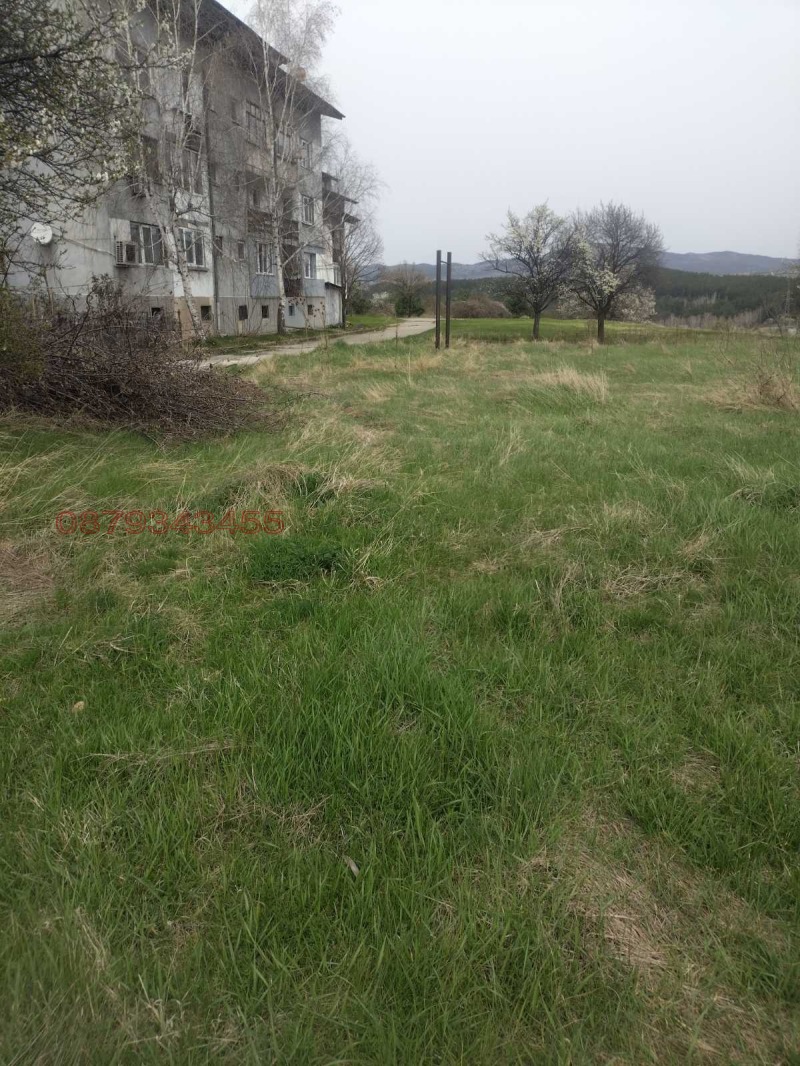 Дава под наем МЯСТО, с. Драгичево, област Перник, снимка 2 - Парцели - 52786157