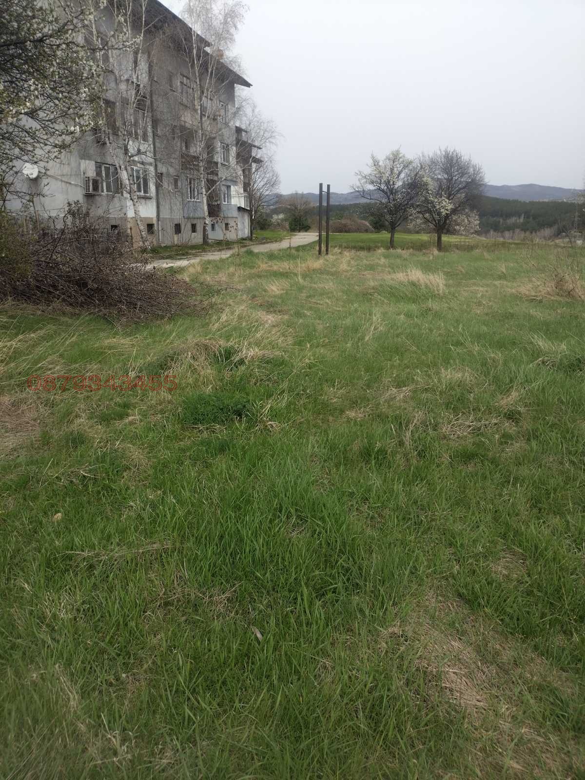 Дава под наем МЯСТО, с. Драгичево, област Перник, снимка 2 - Парцели - 53851552