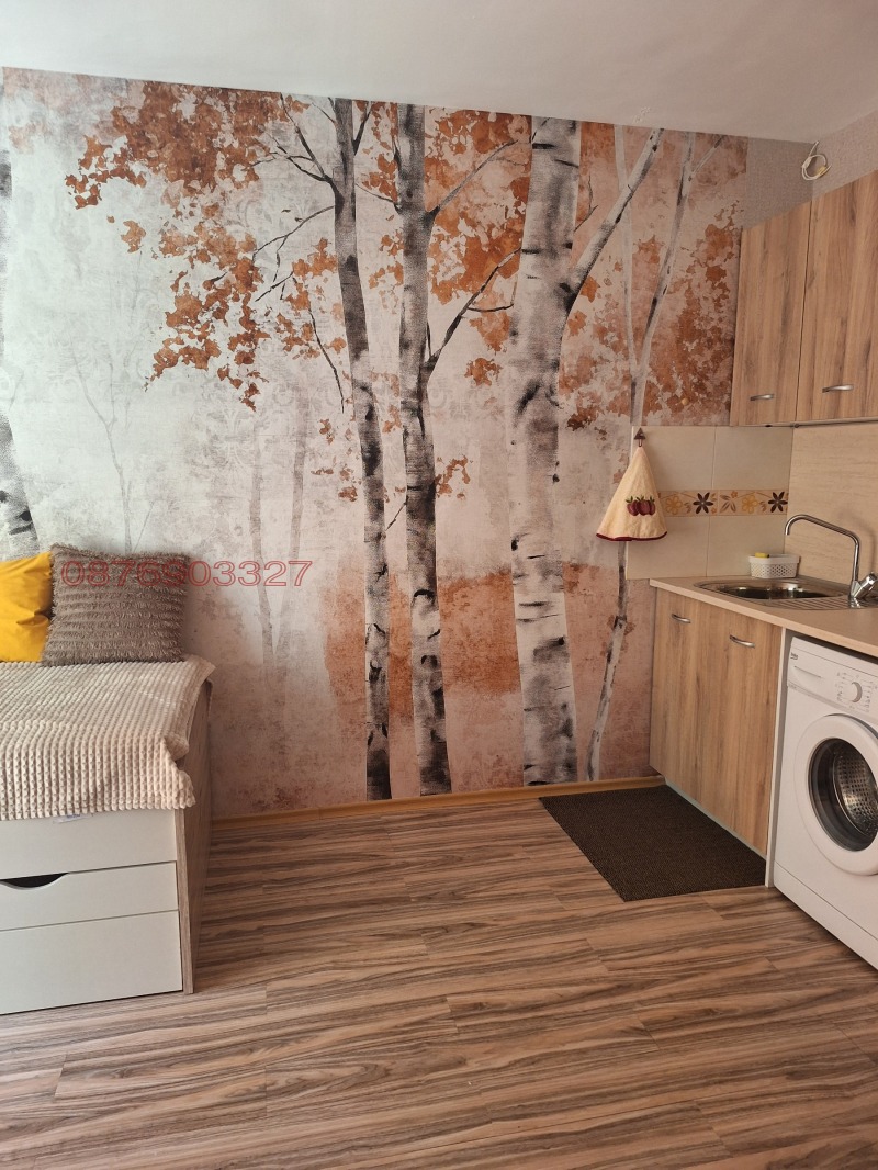 K pronájmu  Studio Sofia , Centar , 27 m2 | 89057114 - obraz [5]