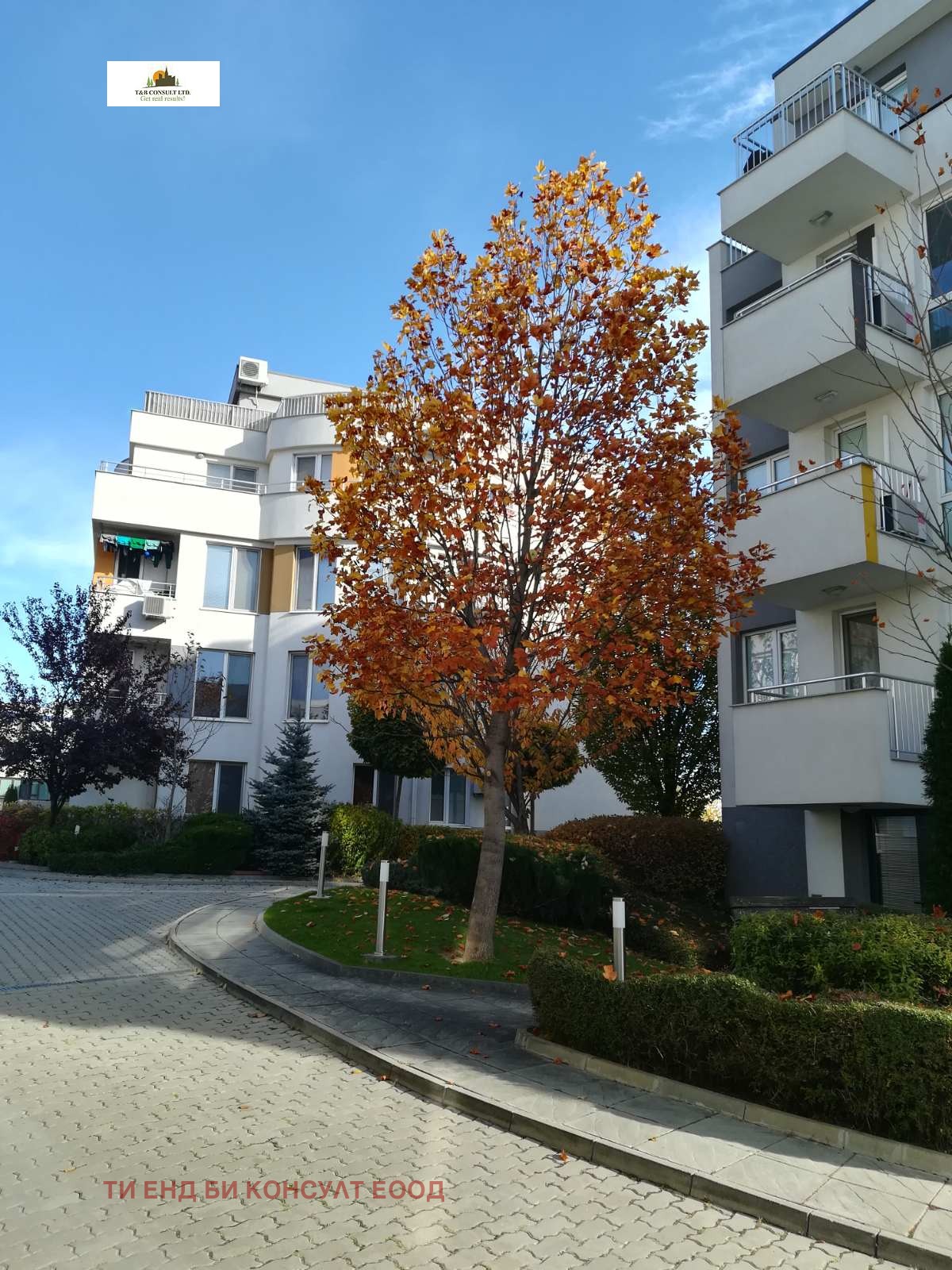 ���� ��� ���� 1-����� | Imot.bg � ����������� 1