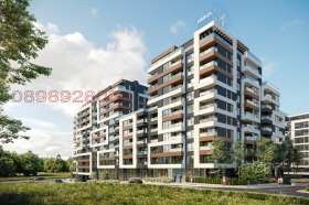 ������ ���� ��� ���� �����, ����������