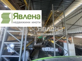 ����� ���� ��� ���� �����,���� �����, �. �����