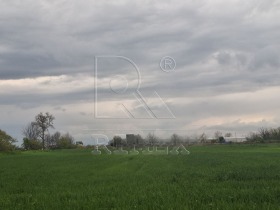 ����� ���� ��� ���� ����. ���������,���� �������, ������������ ���� - �����